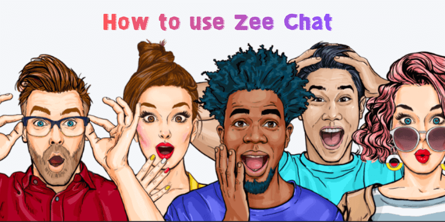 How to use Zee Chat